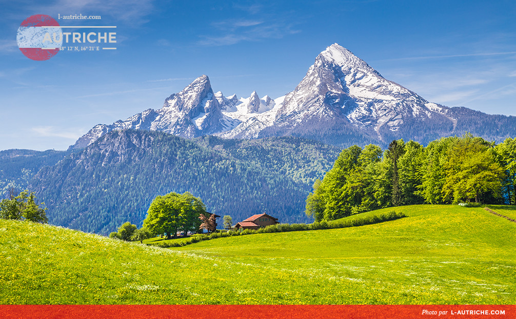 Les Alpes avec des prés vert, des fleurs et des toits de montagne