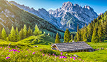 Les Alpes avec un chalet traditionnel et des pâturages de montagne