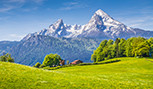 Les Alpes avec des prés vert, des fleurs et des toits de montagne